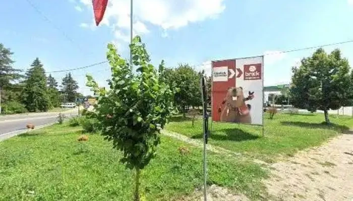 Sc Cosmo Srl -  Street View Si 360deg - Giurgiu