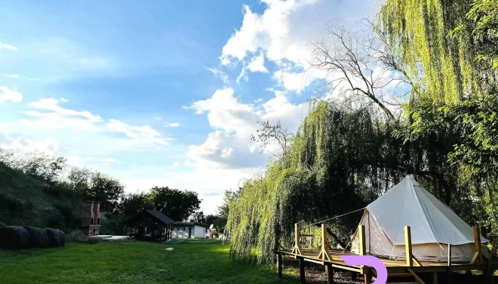 Sc Wine Road Glamping Srl -  De La Proprietar - Arad