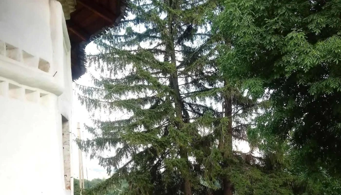 Schitul Papusa Adresă - Romania