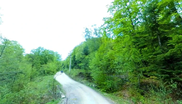 Schiulesti Street View Si 360deg - Schiulești