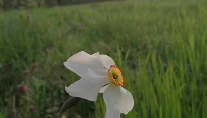 Scorteni Adresă - Scorțeni