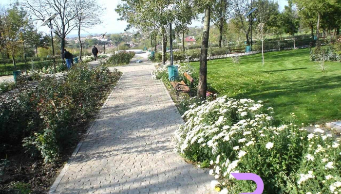 Segarcea -  Număr - Segarcea