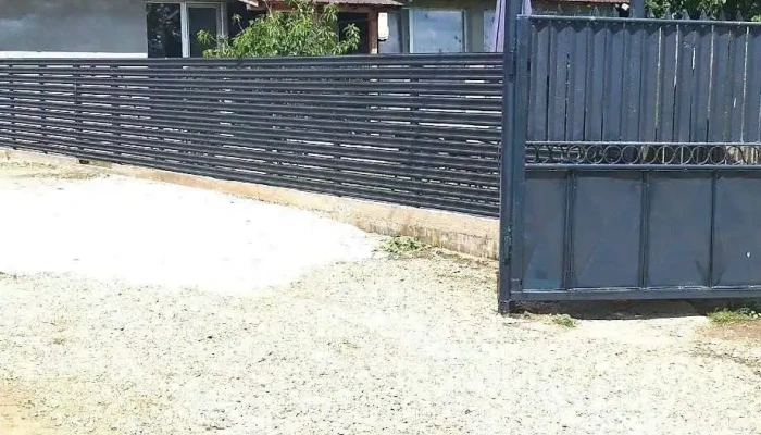 Selaru Cele Mai Recente - Şelaru