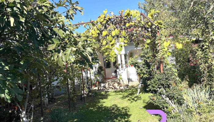 Serbanesti Zonă - Șerbănești