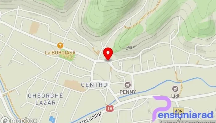 Simleu Silvaniei Hartă - Șimleu Silvaniei