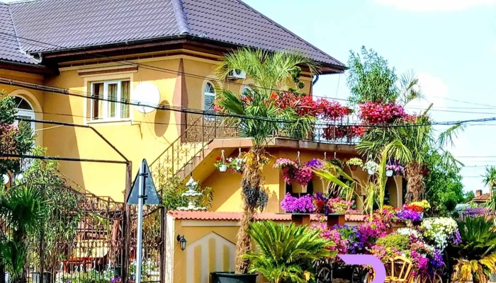 Singureni -  Adresă - Singureni