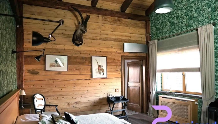 Singureni Manor -  Camere - Singureni