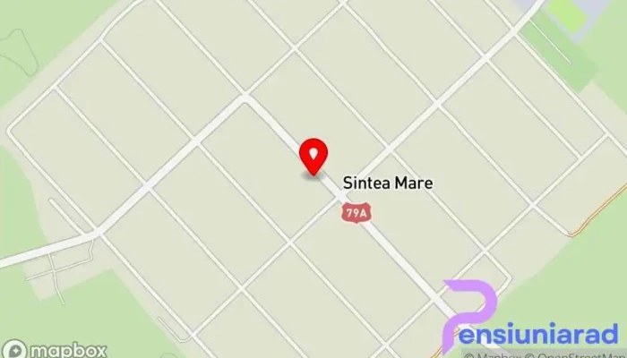 Sintea Mare -  Hartă - Sintea Mare