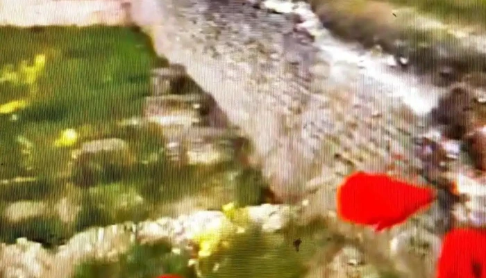 Slava Rusa Videoclipuri - Slava Rusă