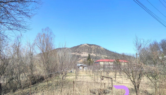 Soimari Aproape De Mine - Șoimari
