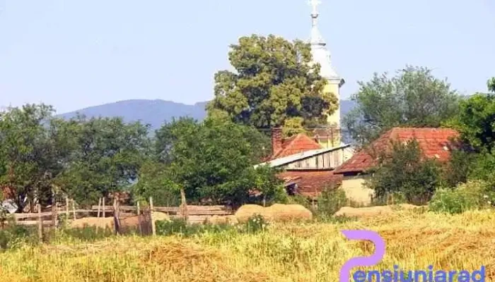 Starciu Site Web - Stârciu