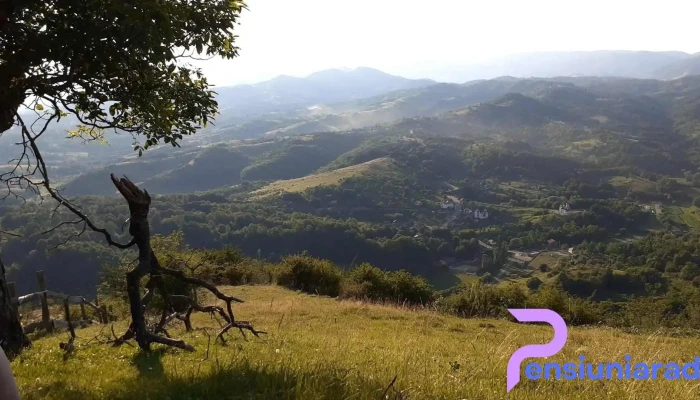 Steiul Ponorii -  Munte - Ponoarele