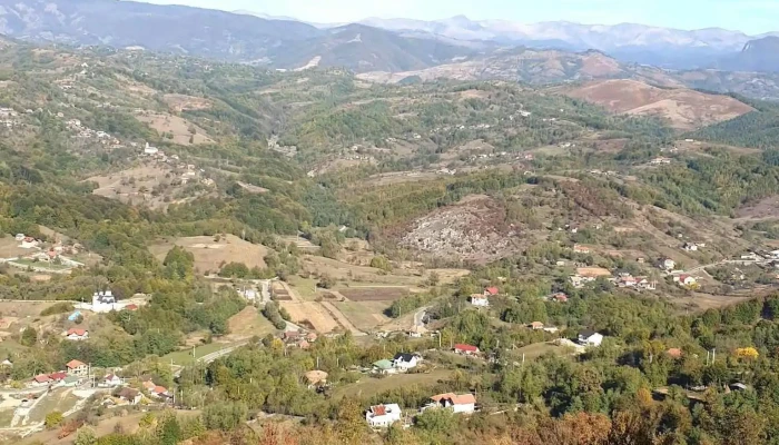 Steiul Ponorii -  Promoție - Ponoarele