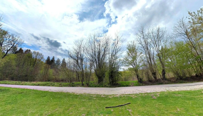 Stejarul De La Cocorastii Mislii Street View Si 360deg - Dc133
