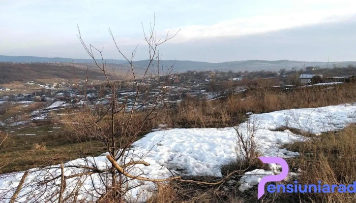 Stornesti Fotografii - Stornești