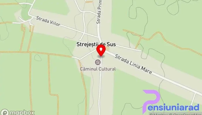 Strejestii De Sus Hartă - Strejeştii De Sus