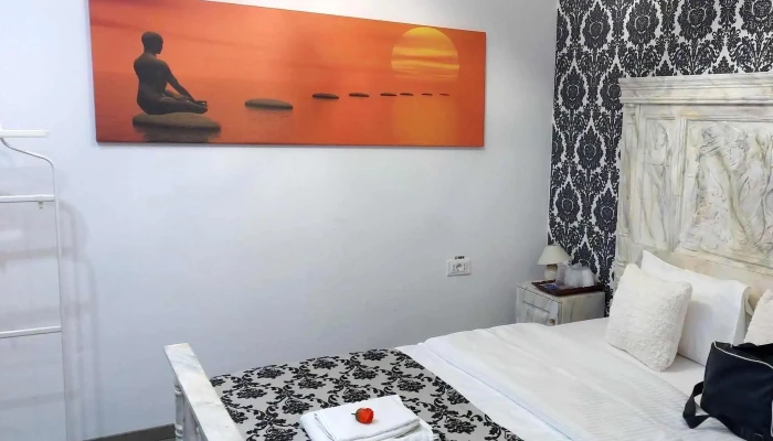 Studio B -    Cazare Buftea Buftea - Buftea