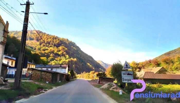 Sugag Videoclipuri - Șugag