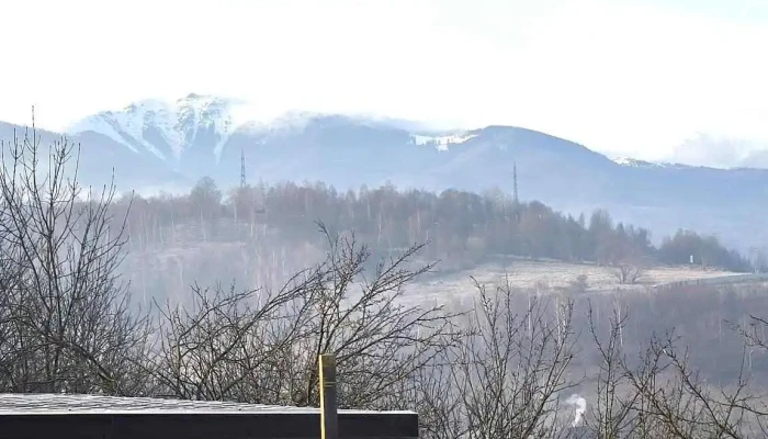 Sura Lu Patru Cele Mai Recente - Petroșani