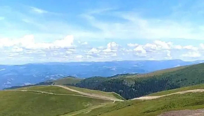 Sura Lu Patru De La Proprietar - Petroșani