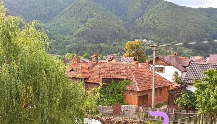Surasul Muntelui De La Vizitatori - Dragoslavele
