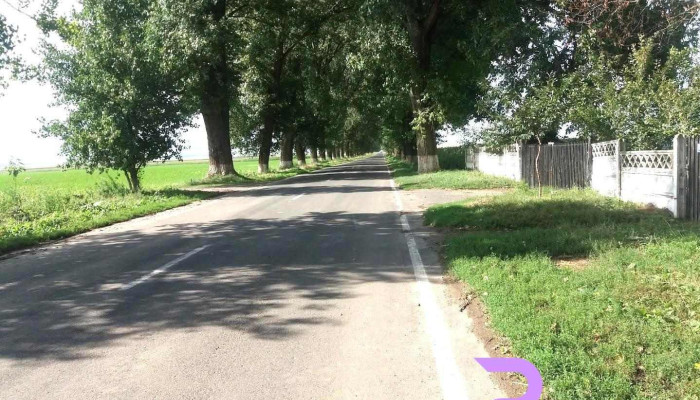 Sălcioara - Sălcioara