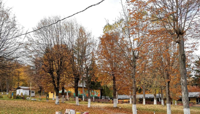 Tabara Muncel Telefon - Siret