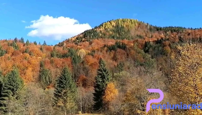 Tarcau Videoclipuri - Tarcău