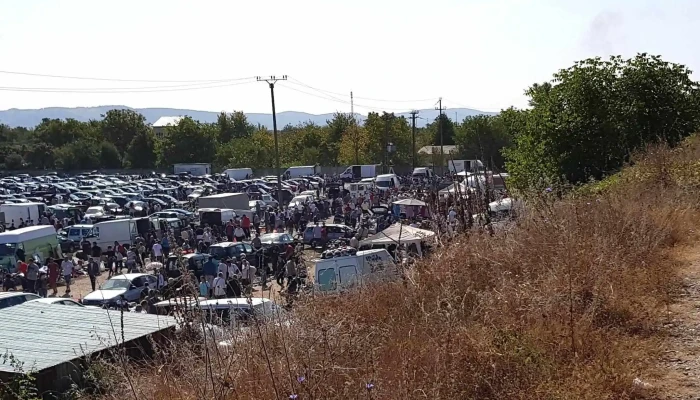 Targul De Masini Letea Veche Reduceri - Bacău