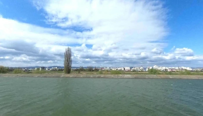 Targul De Masini Letea Veche Street View Si 360deg - Bacău