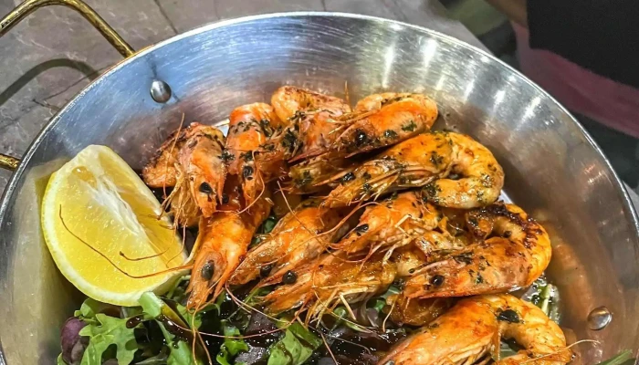 Taverna Racilor Snagov - Comuna Snagov