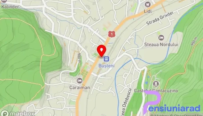 hartă a Taxi Bușteni Serviciu de taximetrie, Serviciu de transfer pentru aeroport, Servicii de transport în Bușteni