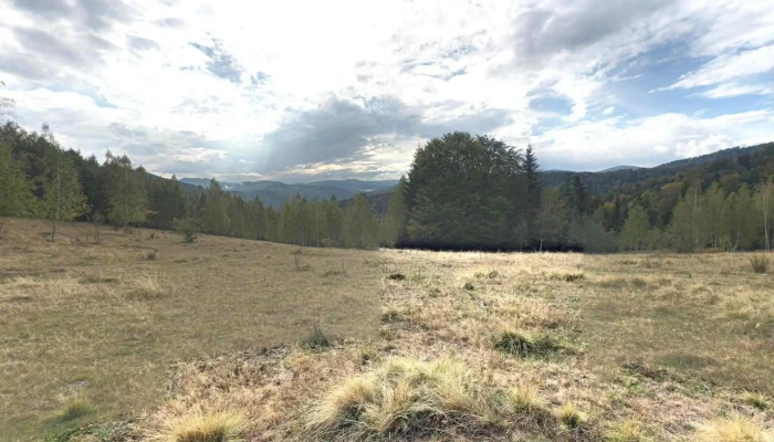 Tazlau Street View Si 360deg - Tazlău