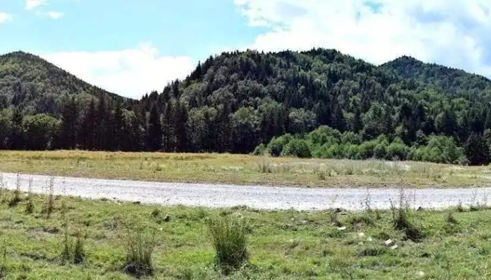 Tazlău - Tazlău