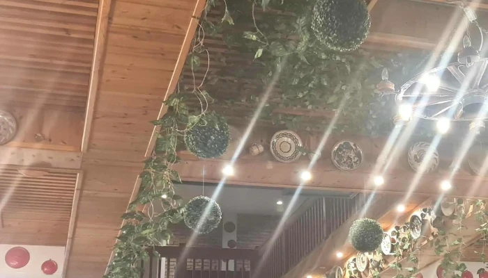 Terasa Taraneasca -  Număr - Constanța