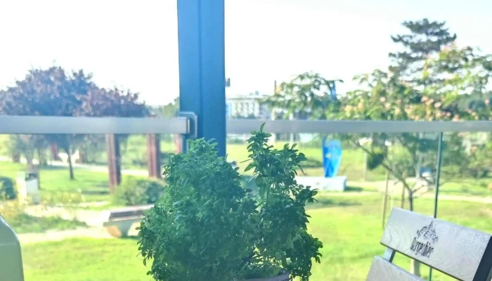 Terasa Yoco - Techirghiol