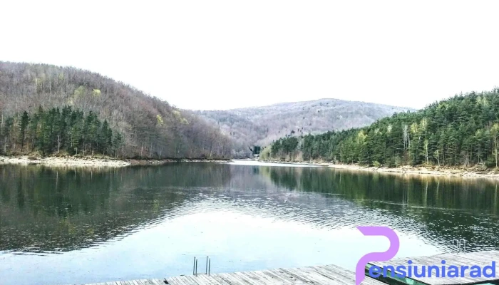 Teregova -  Munte - Teregova