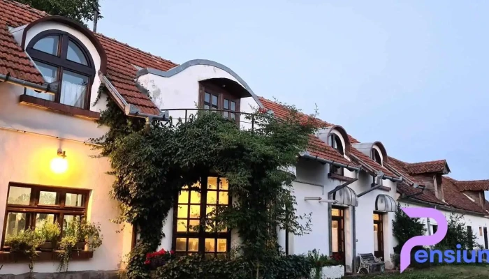 The Country Hotel -  De La Vizitatori - Hărman