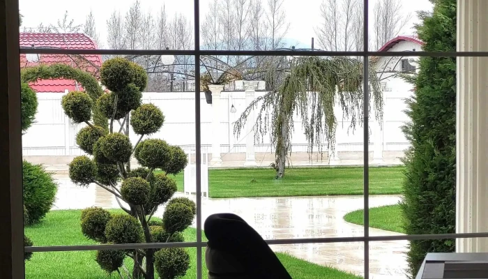 The Garden -  Locație - Piatra Neamț