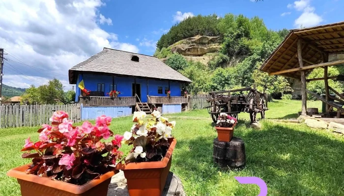 The Story Garden Corbii De Piatra De La Vizitatori - Corbi