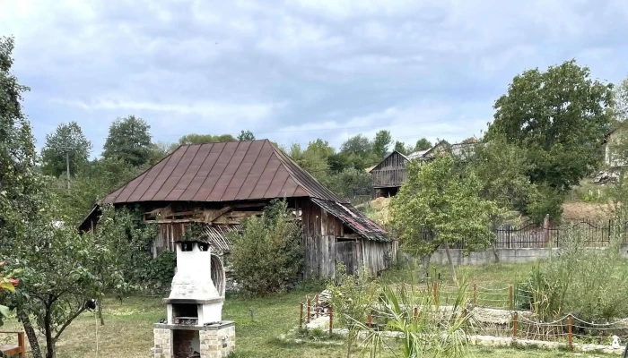 Therefuge Adresă - Bucșenești