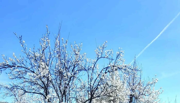 Therefuge Fotografii - Bucșenești