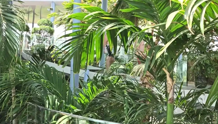 Therme Bucharest -  Videoclipuri - Balotești