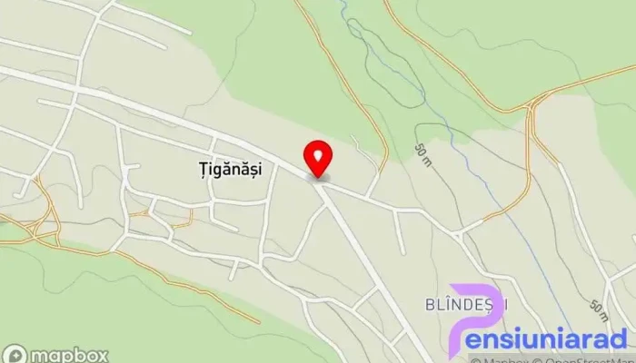 Tiganasi -  Hartă - Țigănași
