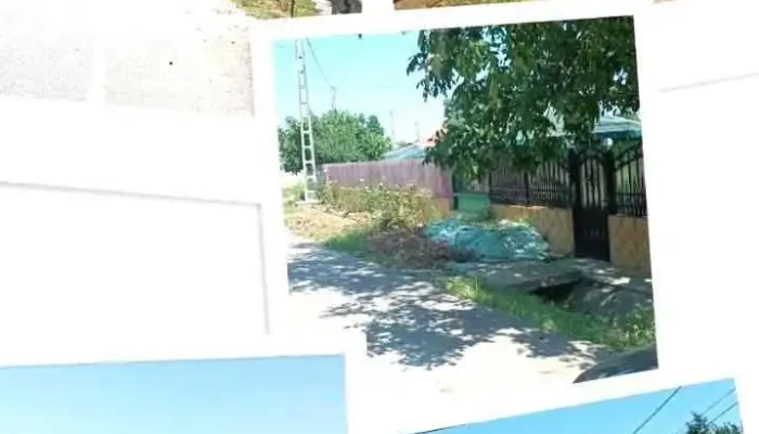 Tiganasi -  Videoclipuri - Țigănași