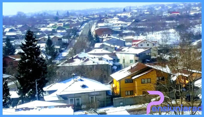 Tintea Catalog - Băicoi