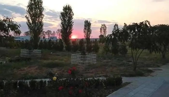 Titu - Titu