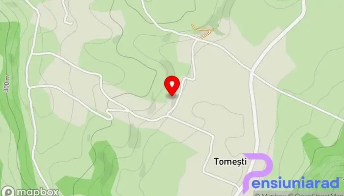hartă a Tomeşti  în Tomeşti