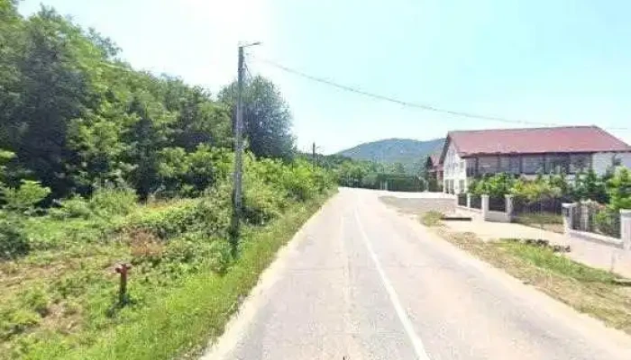 Tomi Alex -  Program - Călinești-oaș
