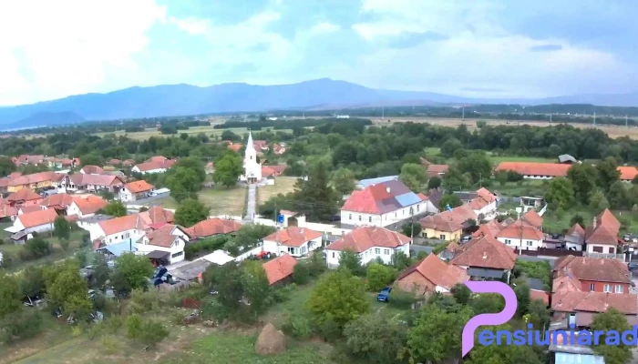 Totesti Videoclipuri - Totești